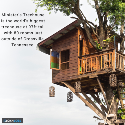 Trivia tuesday